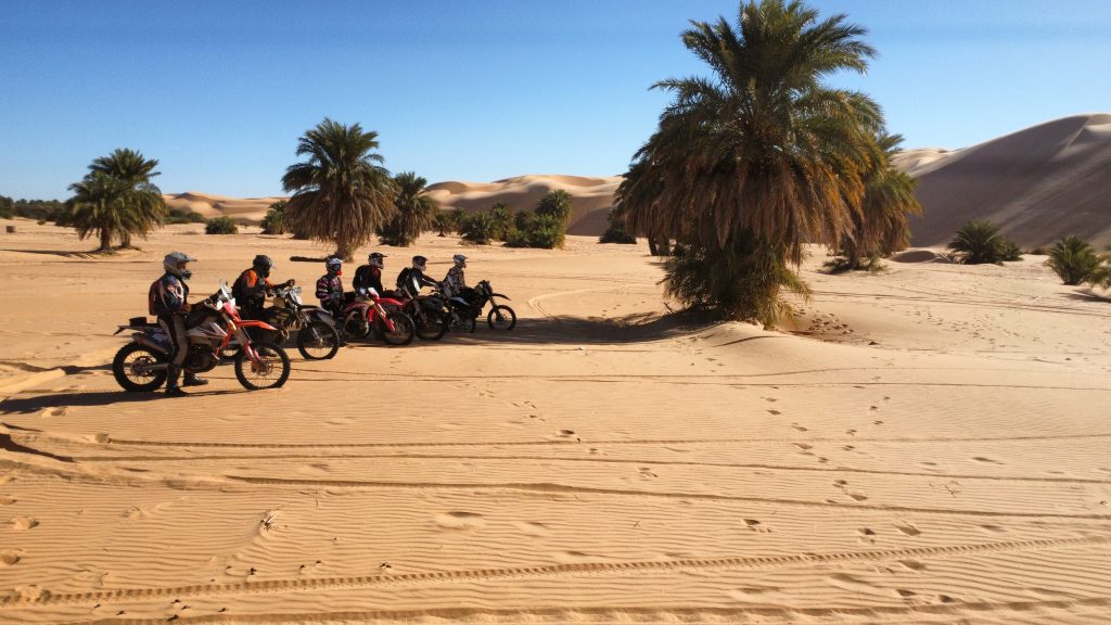 Riders resting by the palm trees in Mauritania