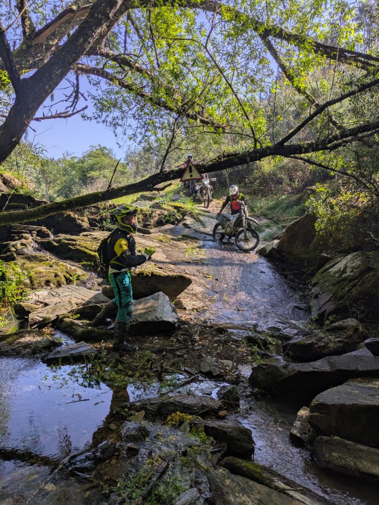 Riders crossing a forest stream in Portugal
